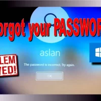 password reset